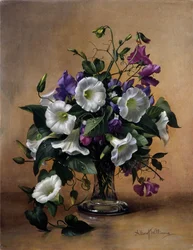 Convolvulus y guisantes de olor en jarrón de cristal (óleo sobre lienzo)