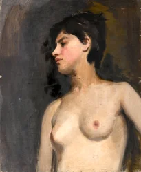 Desnudo femenino. Fondo negro. Ca. 1880