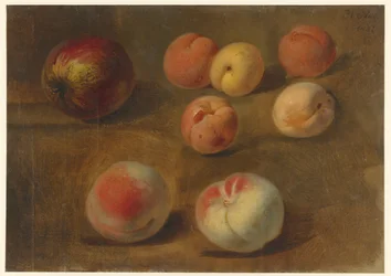 Bodegón con manzana, melocotones y albaricoques