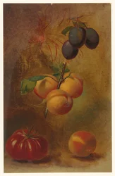 Bodegón con ciruelas, albaricoques y tomate