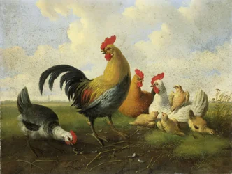 Un gallo con gallinas y polluelos