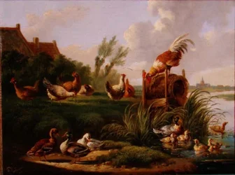 Patos y aves de corral en la orilla del río