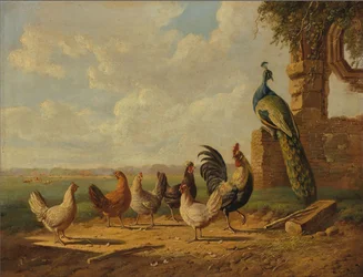 Gallinas y pavo real en un paisaje
