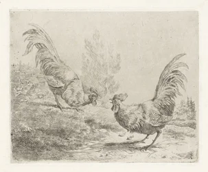 Dos gallos de pelea