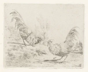 Dos gallos de pelea