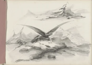 Águila volando sobre una costa con montañas