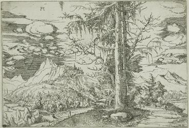 Paisaje con un abeto doble
