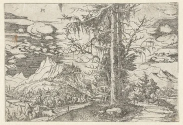 Paisaje con abeto doble