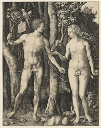 Adán y Eva, 1504