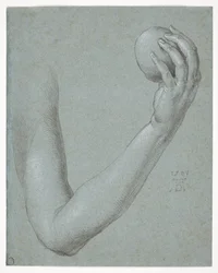 El brazo de Eva
