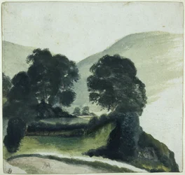 Grupo de árboles con un camino en las montañas