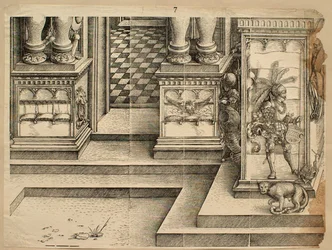 Detalle 7
