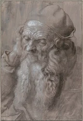 Cabeza de un Hombre Viejo, 1521