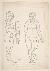 Ilustración de los Cuatro Libros sobre la Proporción Humana de Durero, Núremberg, 1528