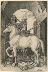 Caballo pequeño