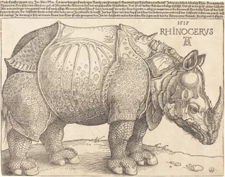 Latín:  Rhinocerus El Rinoceronte