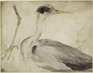 Garza