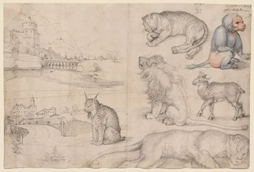 Bocetos de animales y paisajes