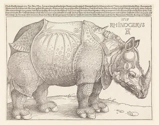 El rinoceronte