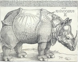 El rinoceronte