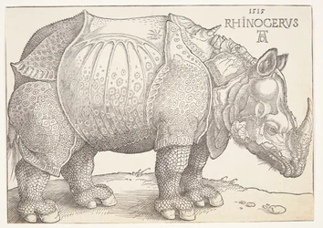 El rinoceronte