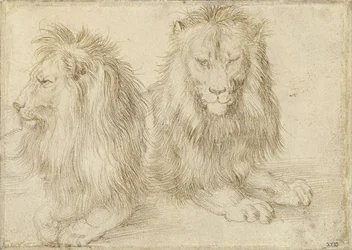Dos leones sentados, 1521