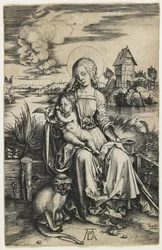 Virgen y Niño con el Mono, c. 1498