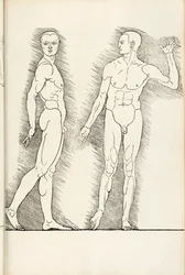 Xilografía anatómica de Hierinn sind begriffen vier bücher von menschlicher Proportion, 1528