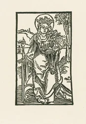 Santa Catalina