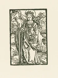 Santa Catalina