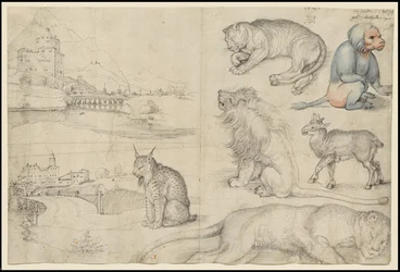 Bocetos de animales y paisajes, 1521