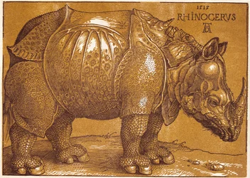 El Rinoceronte