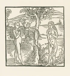 La caída. Ilustración de " Der Ritter von Turn " , c.1493-93 (xilografía)