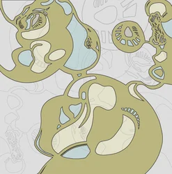 Formas orgánicas fluidas