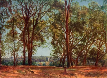 En el Parque Aricci, 1830s, 1965