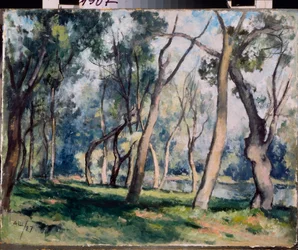 Un bosquet (Una arboleda) - Oeuvre de Alexander Vasilyevich Shevchenko (Alexandre Chevtchenko) (1883-1948), huile sur carton