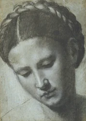 Cabeza de una mujer con el cabello trenzado