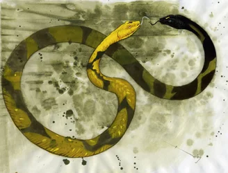 Criatura fabulosa: representación de una Amphisbene, serpiente con dos cabezas. Dibujo de Alessandro Lonati