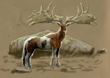 Monstruos y criaturas fantásticas, criptozoología: representación de un hipocampo - Dibujo de Alessandro Lonati, 2012