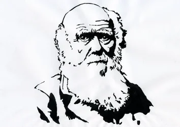 Retrato de Charles Darwin - Retrato del naturalista inglés Charles Darwin (1809-1882) Ilustración