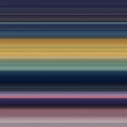 Fondo V, 2017