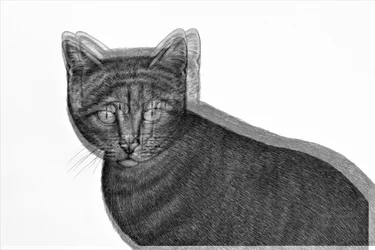 Gato eléctrico
