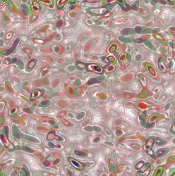 Estudio V, 2019