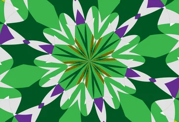 flores #25, 2019