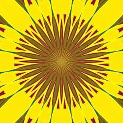 Geometría, 2019