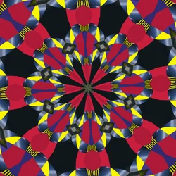 simetría material, 2019