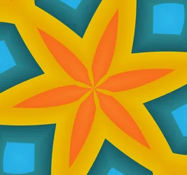 Estrella de mar, 2019