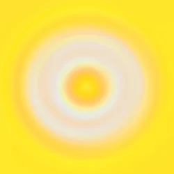 Punto amarillo, 2019