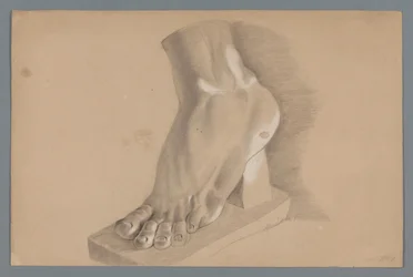 Modelo de yeso de un pie