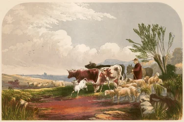 Ilustración para 
